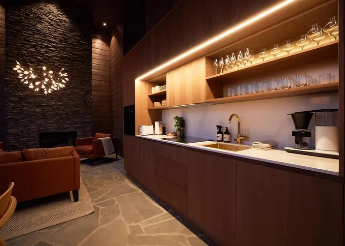 Valo Ice Cube 빌라 사리셀카