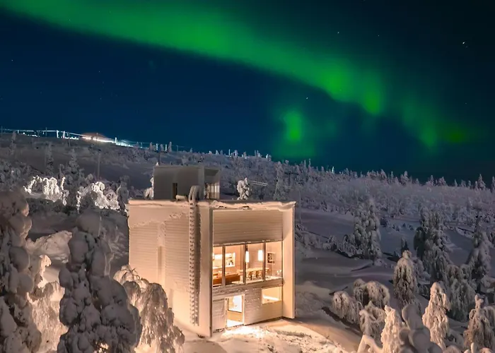 Valo Ice Cube * 사리셀카